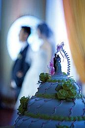 《信长之野望：新生》系统介绍动画“备战” 7月21日发售